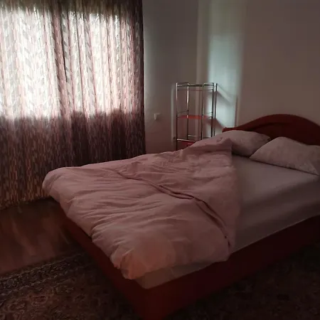 Dinka Bihać